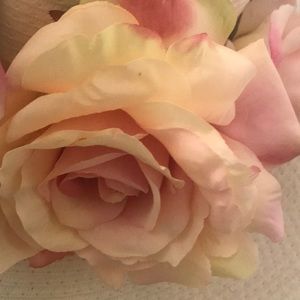 Meet your Posher, Kelsi